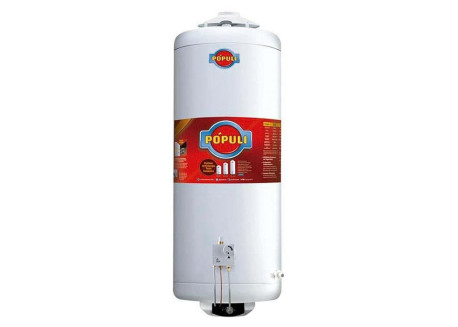 TERMOTANQUE ECOTERMO 100 LTS LINEA POPULI CONEXION SUPERIOR GN